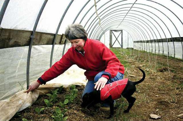 Organic Garden 2 es