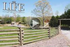 THE LIFE IN MOTION: Chestatee Wildlife Preserve