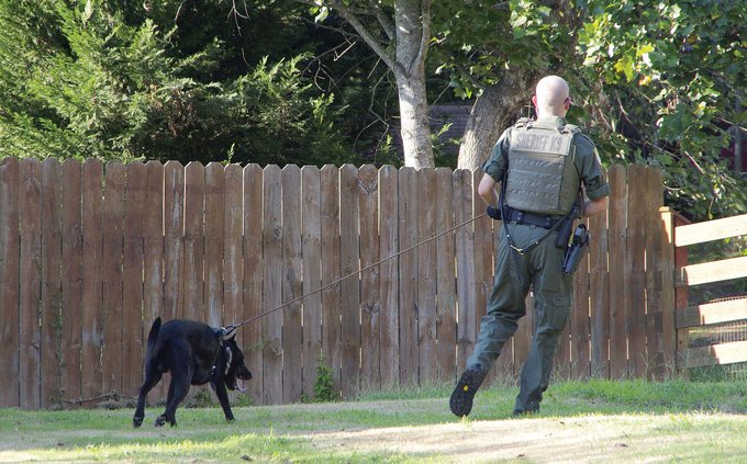 K-9 team
