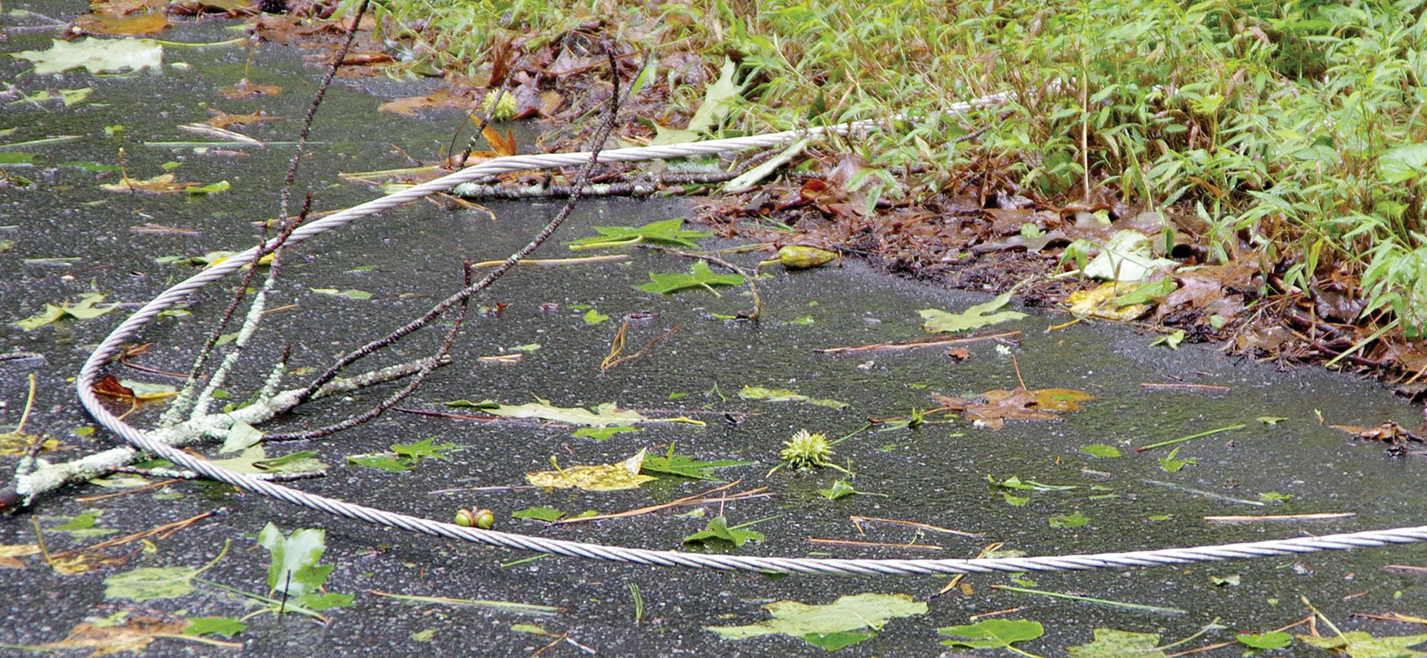 Power line lying in street