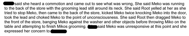 Incident report excerpt