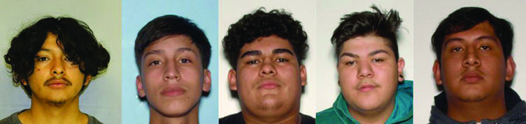 Deputy slaying arrests