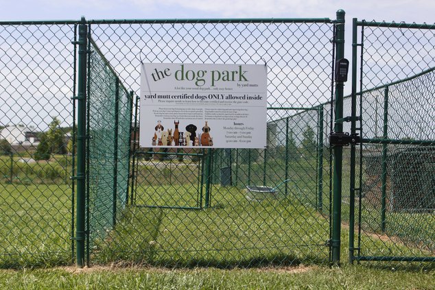 Yard Mutts