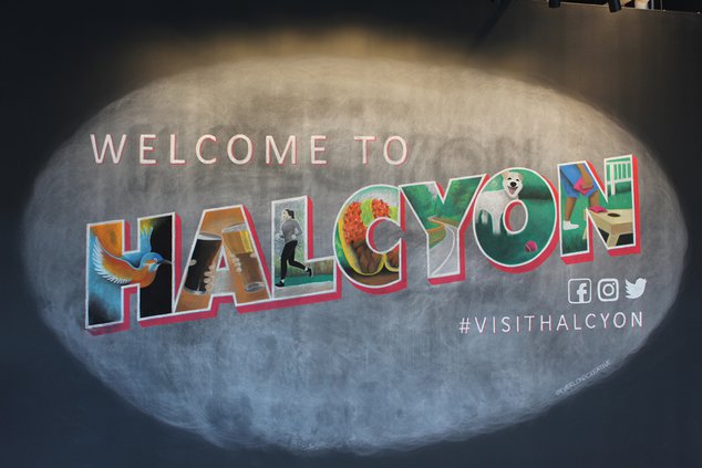 20190920_Halcyon_18_web.jpg